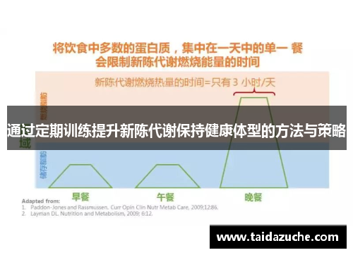 通过定期训练提升新陈代谢保持健康体型的方法与策略