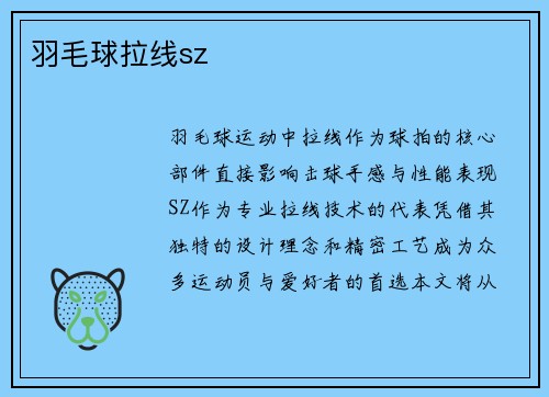 羽毛球拉线sz